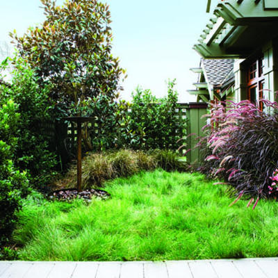 Savvy Housekeeping » Attractive Lawn-less Front Yards