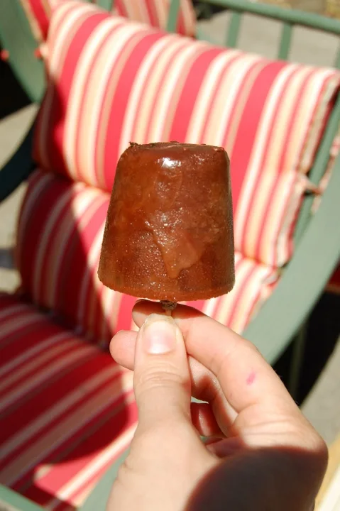 savvyhousekeeping alcoholic popsicles shotsicles