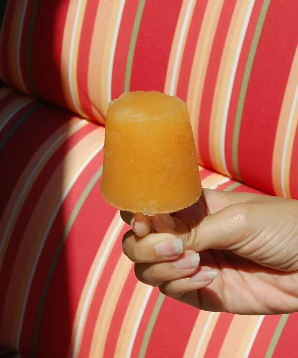 savvyhousekeeping alcoholic popsicles shotsicles