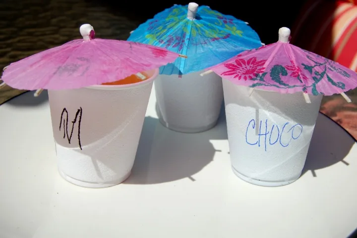 savvyhousekeeping alcoholic popsicles shotsicles