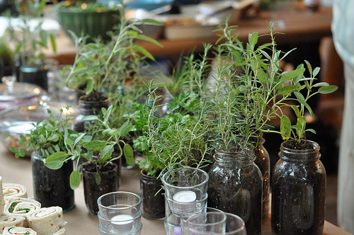 Food in Jars reminded me of a cool wedding favor herbs plants