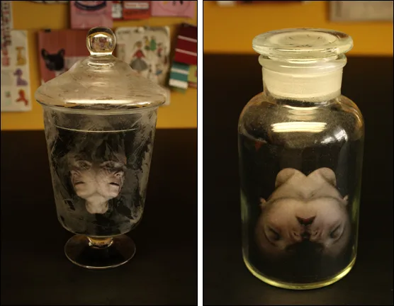 savvyhousekeeping halloween terrarium