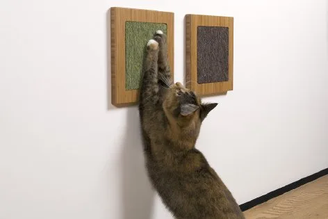 savvyhousekeeping attractive cat scratcher