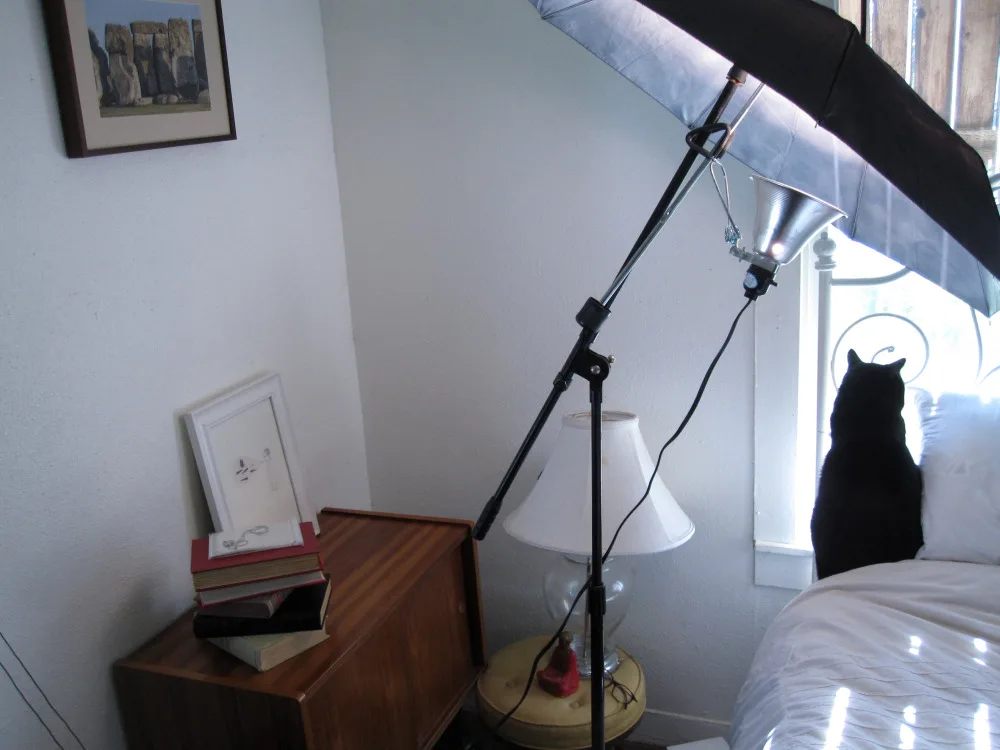 savvyhousekeeping make reflective camera light photography