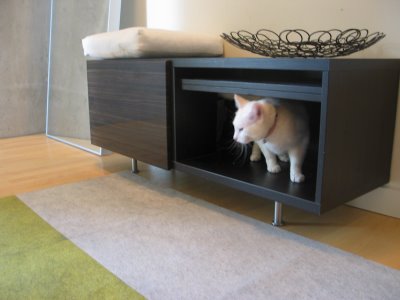 Ikea Cabinet on Ikea Cabinet To Hide The Cat Box