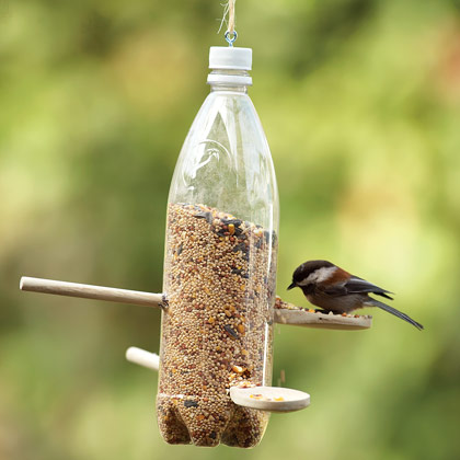 And A Home For Wild Birds suggest a bird feeder from a milk jug: