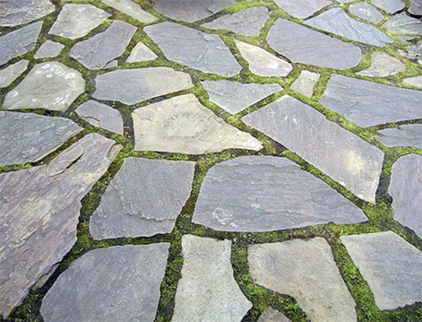 Lots of people put plants between the cracks of the flagstone, such as 