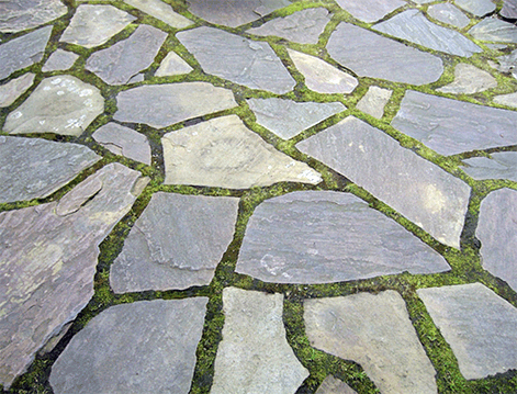 Lots of people put plants between the cracks of the flagstone, such as