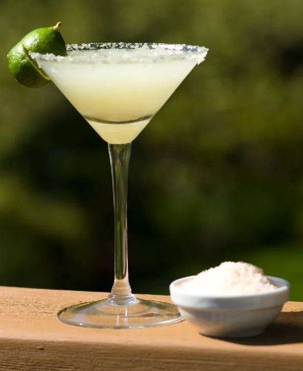 savvyhousekeeping how to make a perfect margarita cinco de mayo