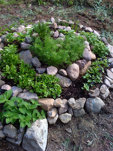 Savvy Housekeeping » Herb Garden Spiral