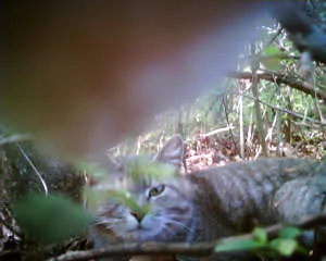 CCTRIP1_05