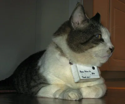 CC_TIT1