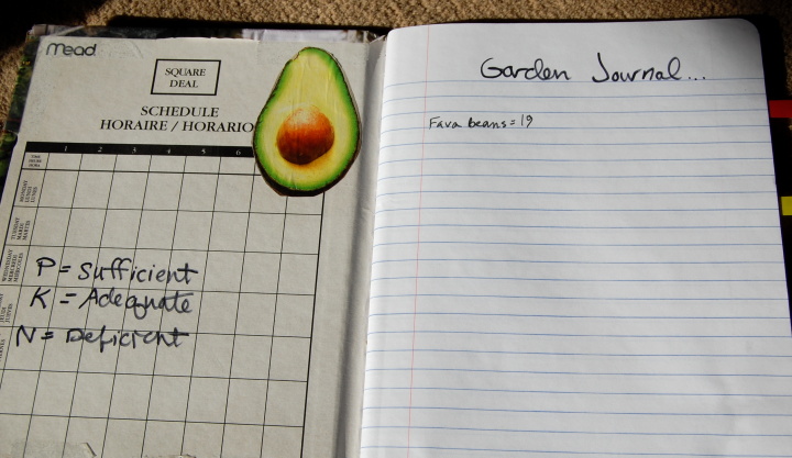 make a garden journal