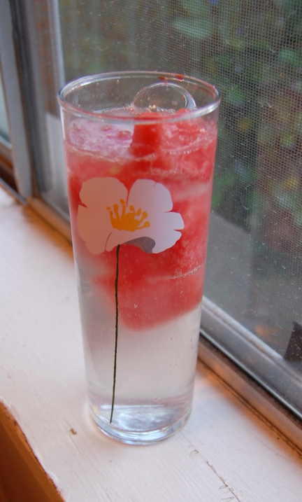 savvy housekeeping fruit ice drink
