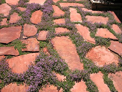savvyhousekeeping types of flagstone patios how to lay
