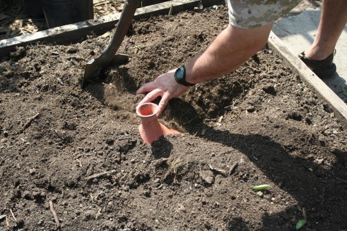 savvyhousekeeping clay pot irrigation saving water in the garden olla drip