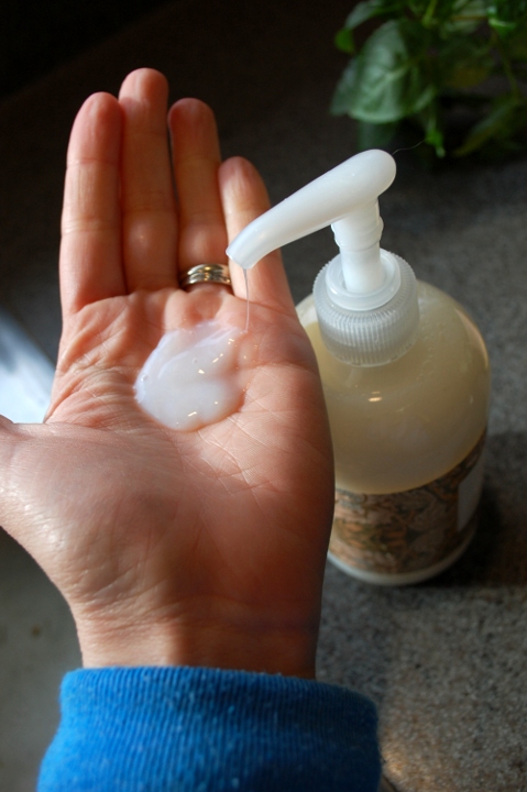 savvyhouskeeping how to turn a bar of soap into liquid hand soap