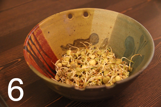 savvyhousekeeping grow sprouts bean from lentils garbonzo chick peas winter indoor gardening