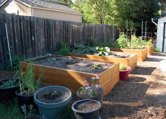 savvyhousekeeping all about raised beds