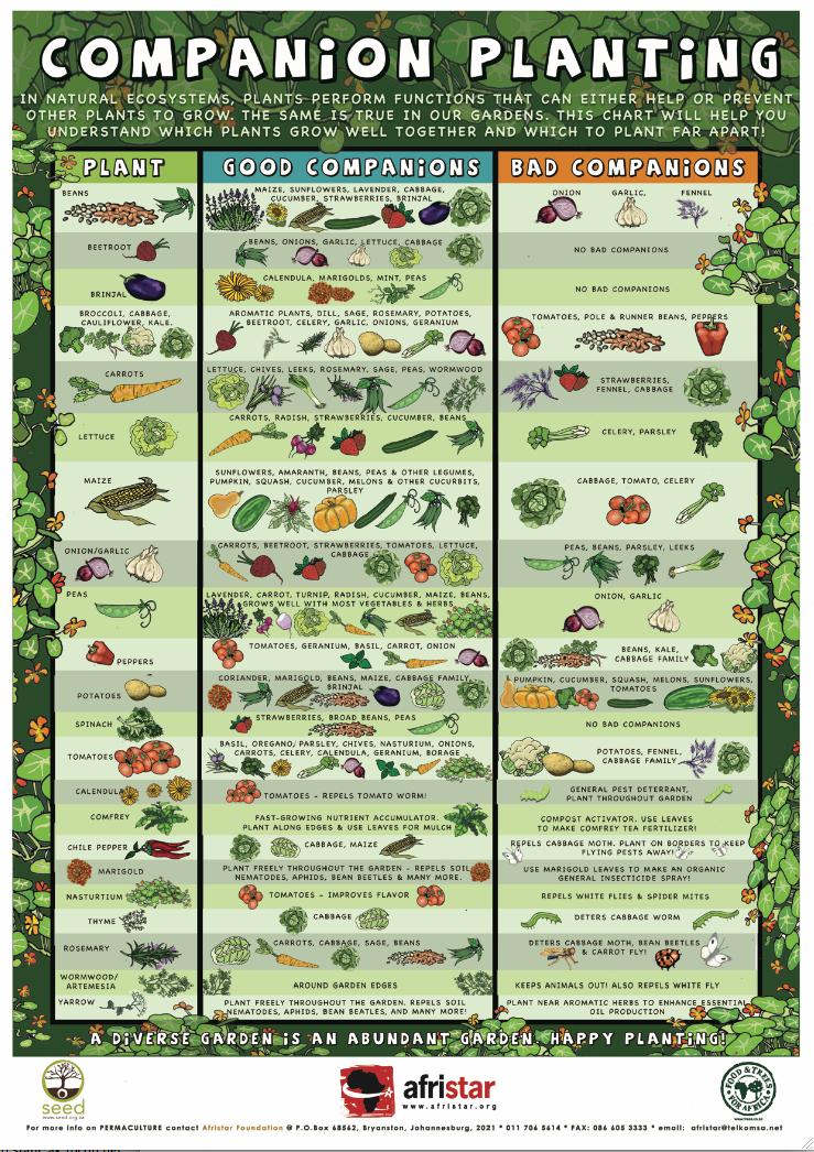 Companion Gardening Chart