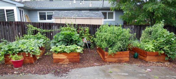 savvyhosuekeeping all about raised beds